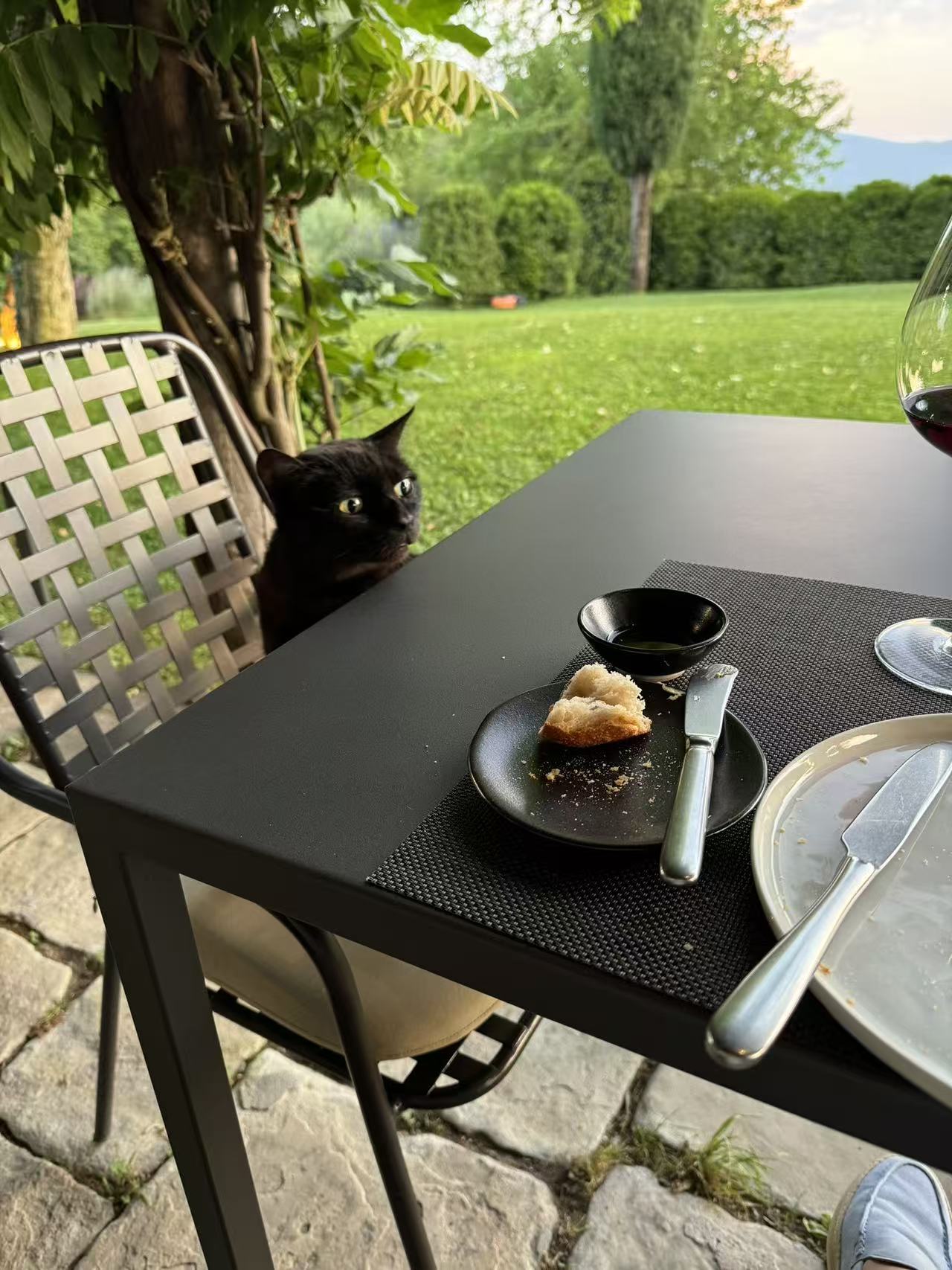 A black cat at an outdoor dinner table in Tuscany